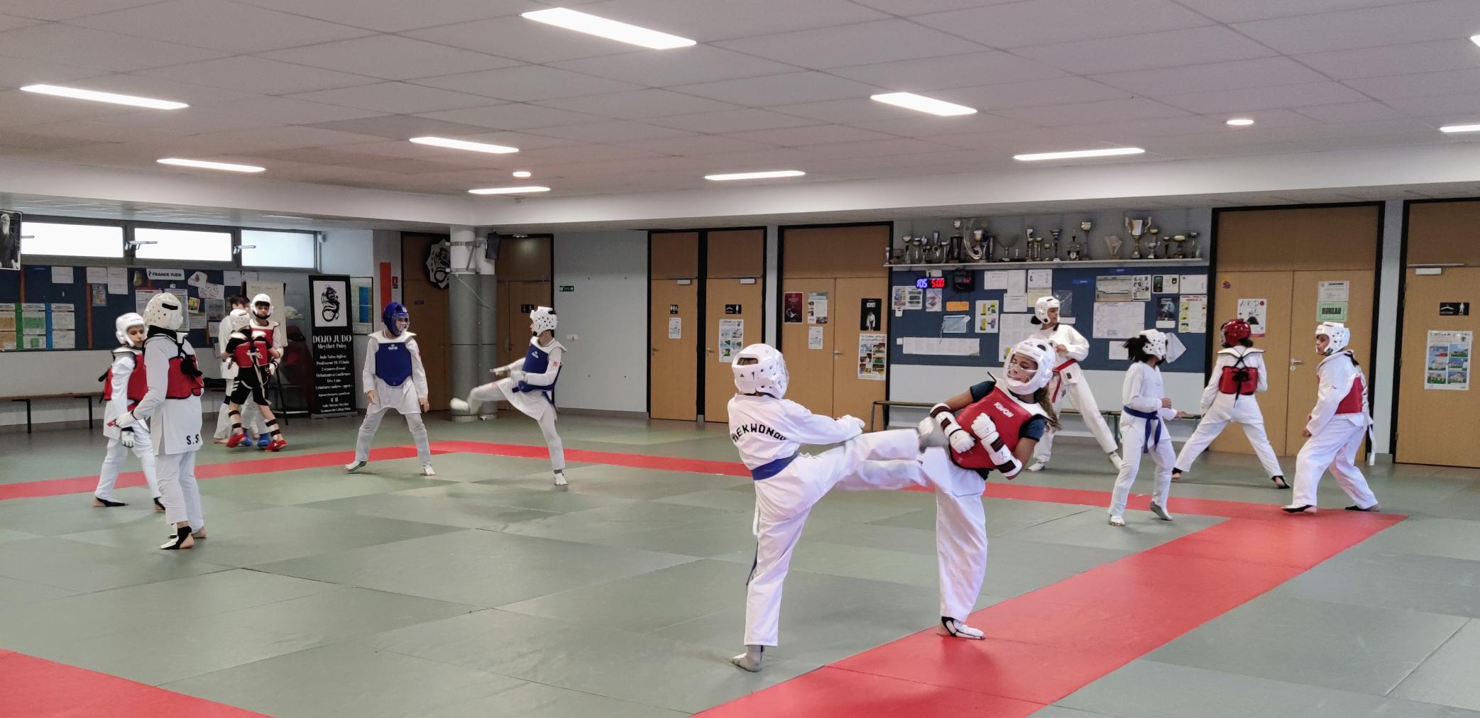 Photo Elite Taekwondo Annecy