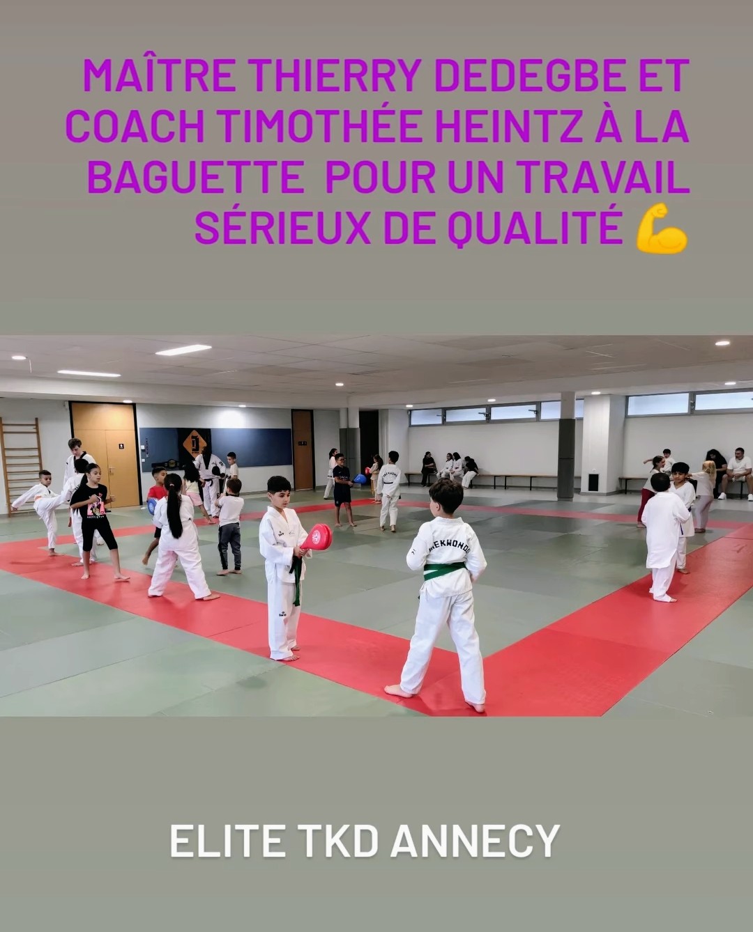 Photo Elite Taekwondo Annecy