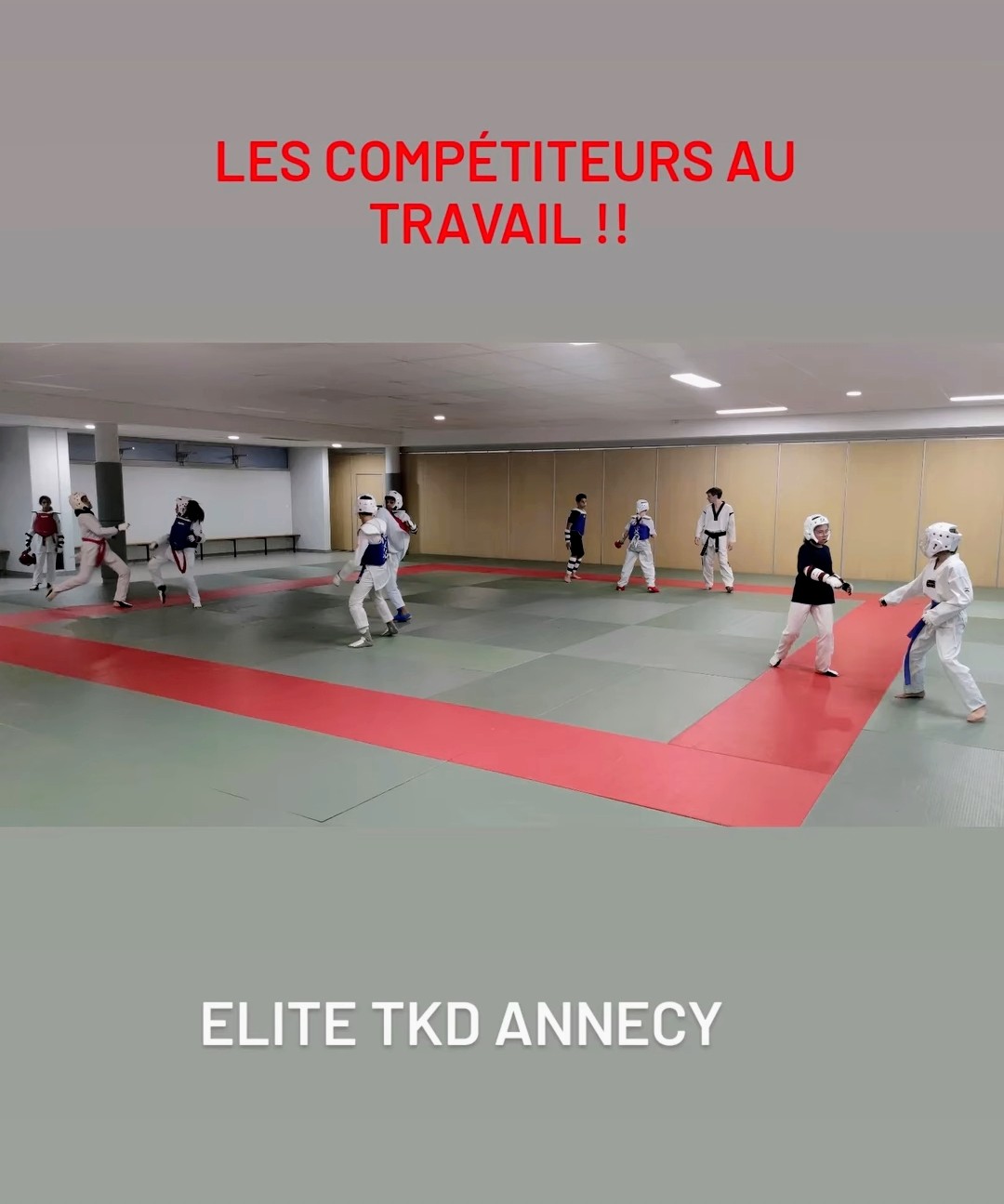 Photo Elite Taekwondo Annecy