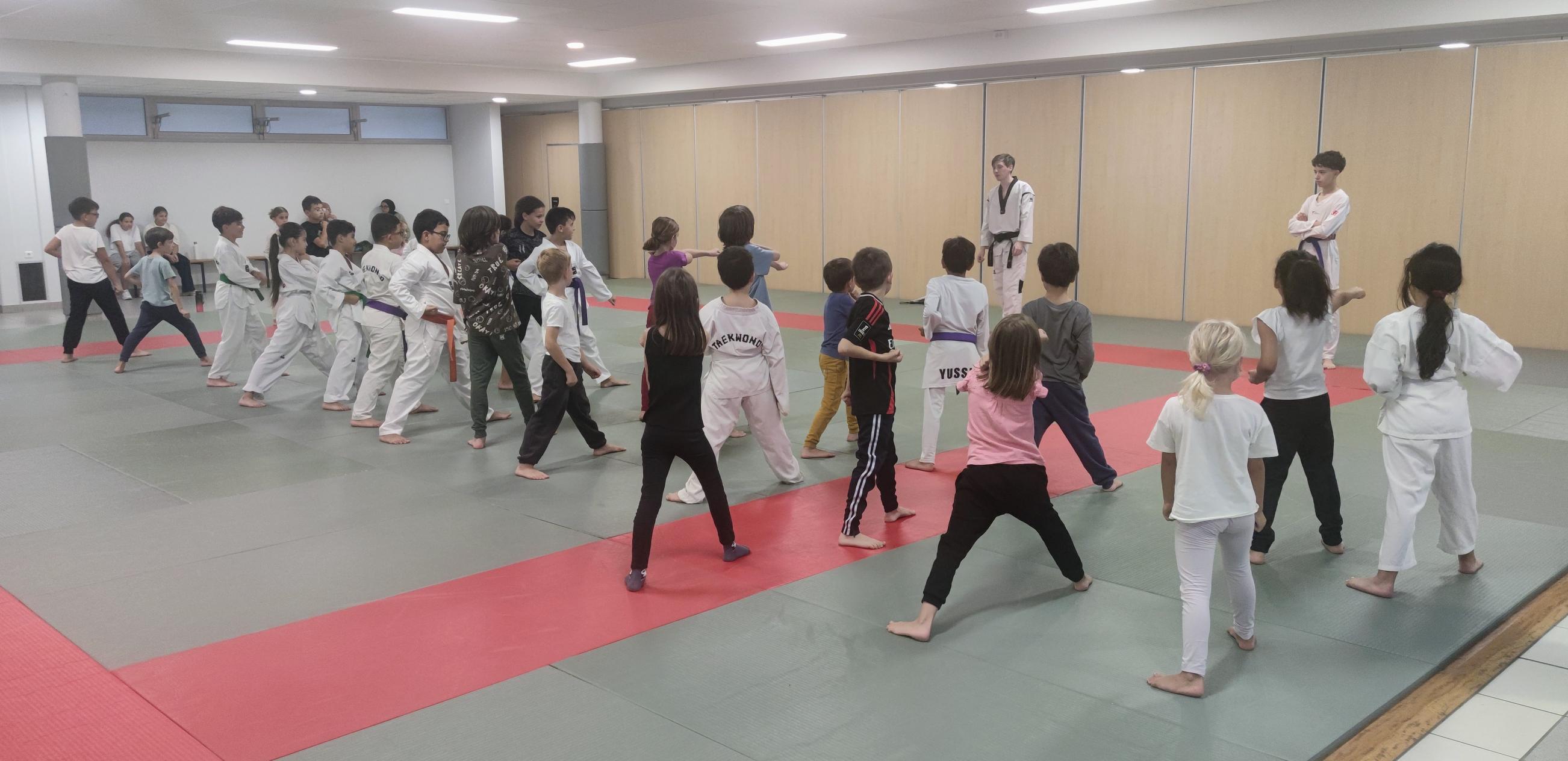 Photo Elite Taekwondo Annecy