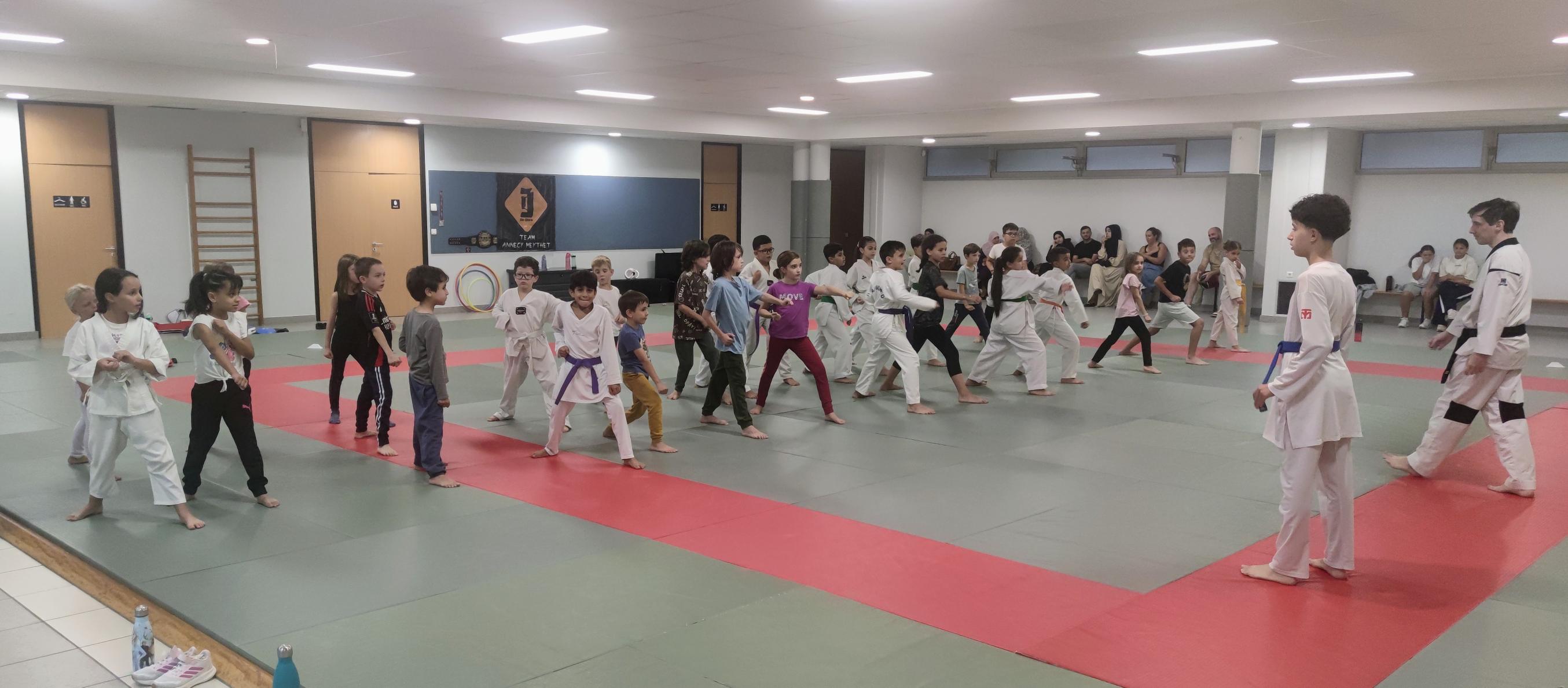 Photo Elite Taekwondo Annecy