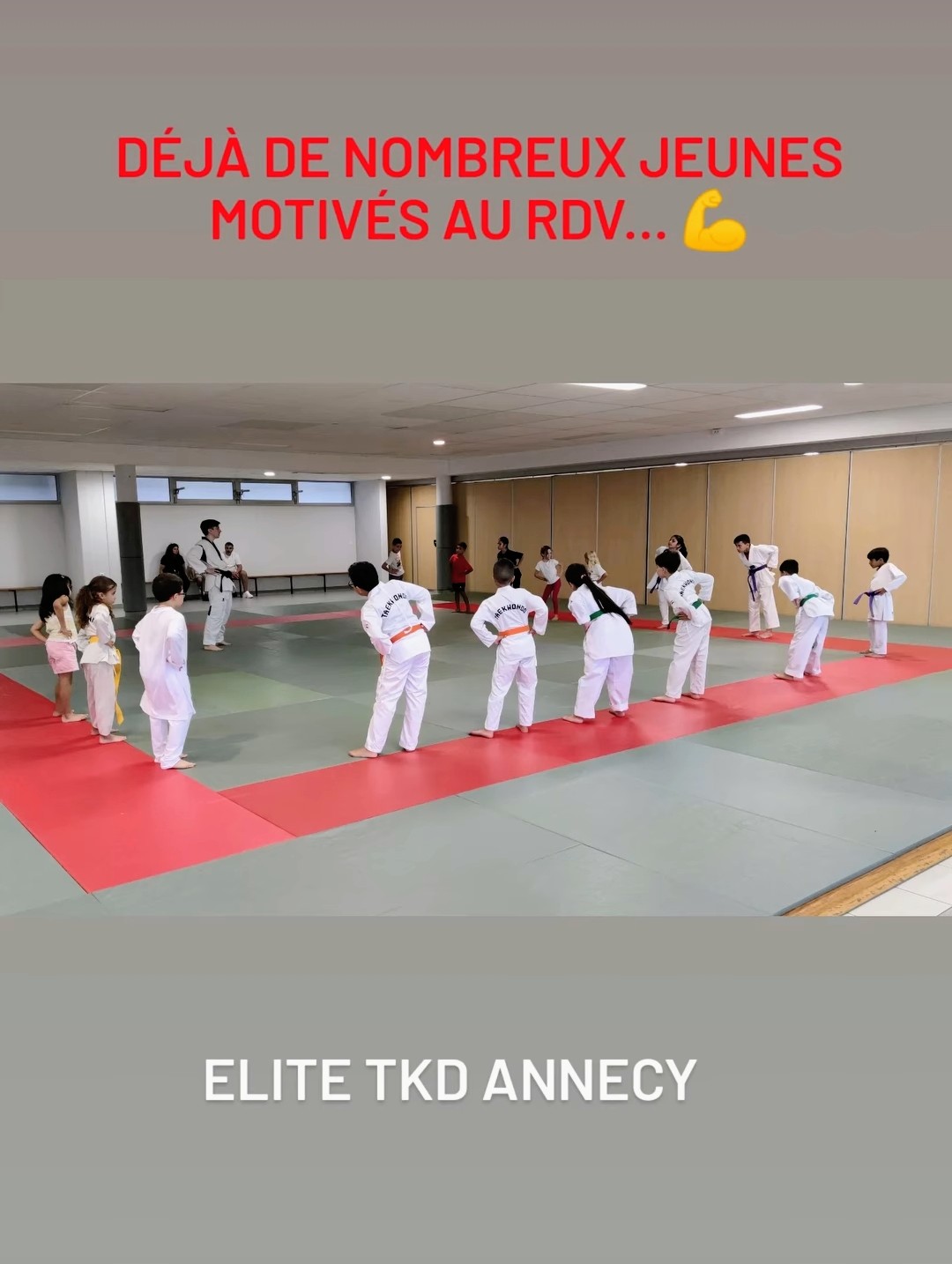 Photo Elite Taekwondo Annecy