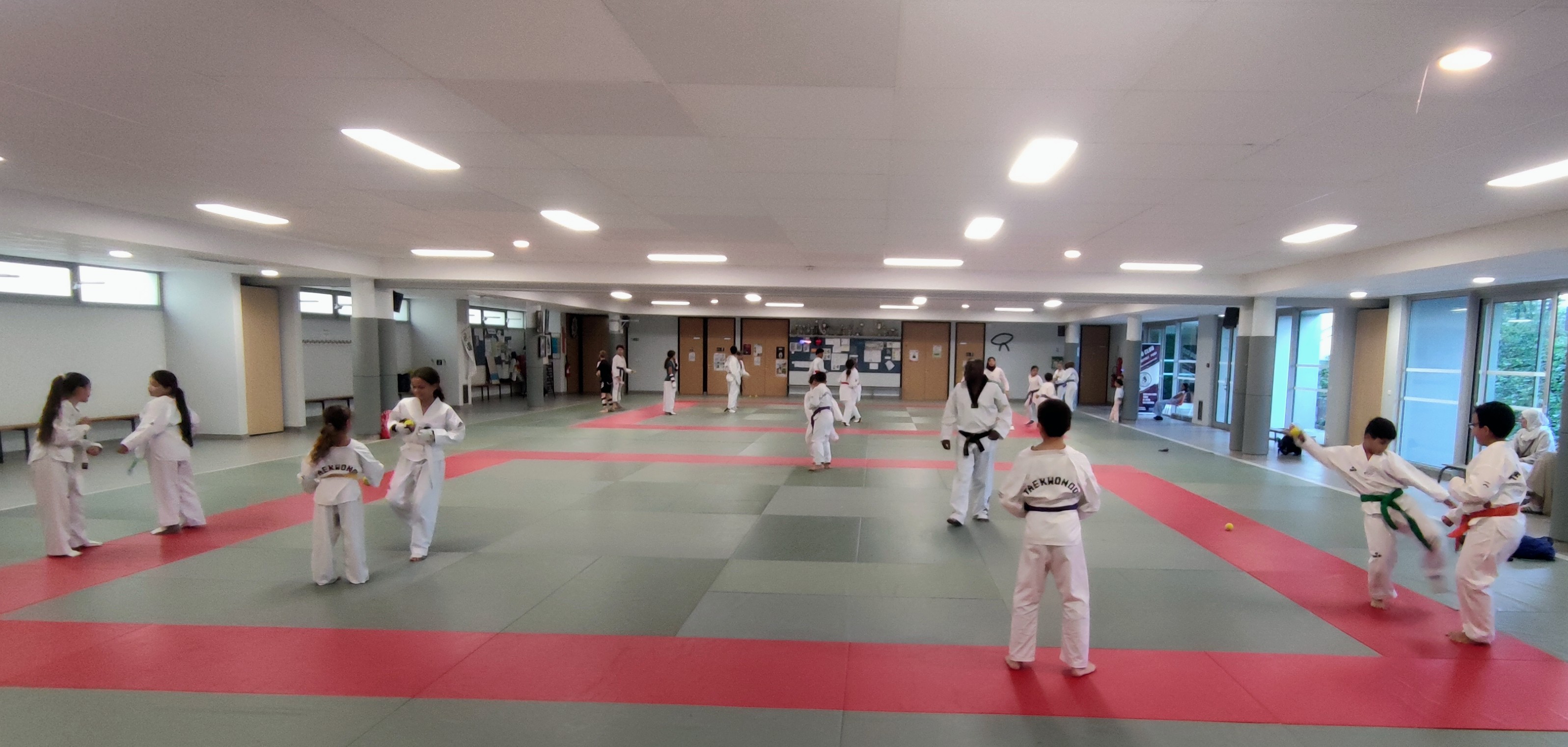 Photo Elite Taekwondo Annecy