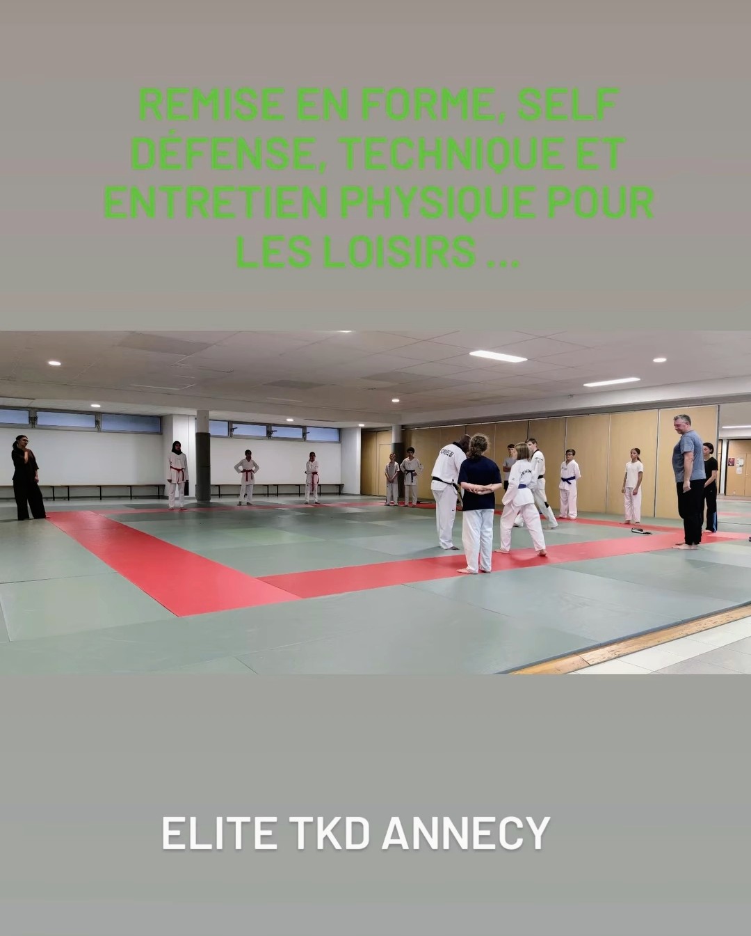Photo Elite Taekwondo Annecy
