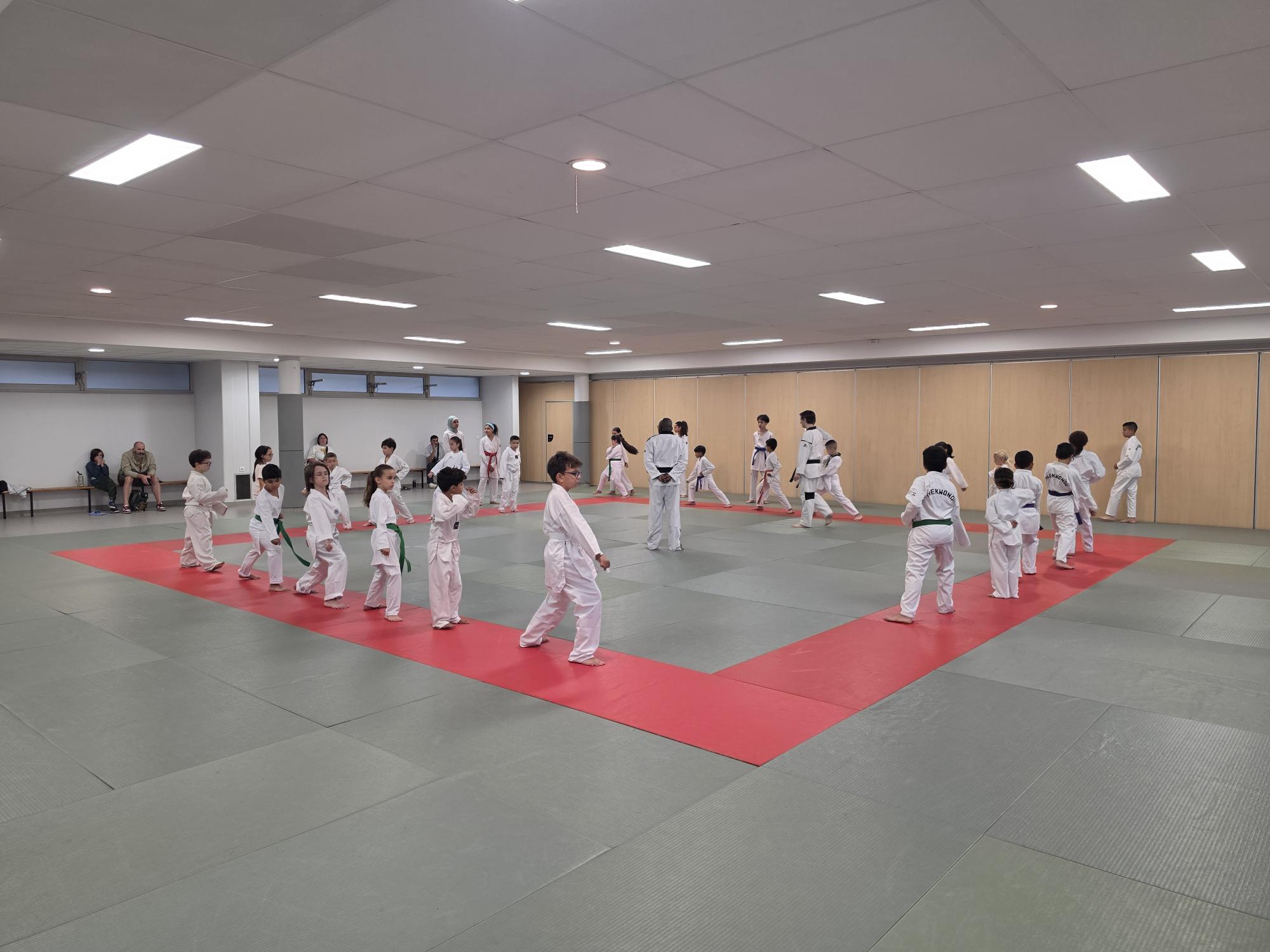 Cours 6-10 ans
