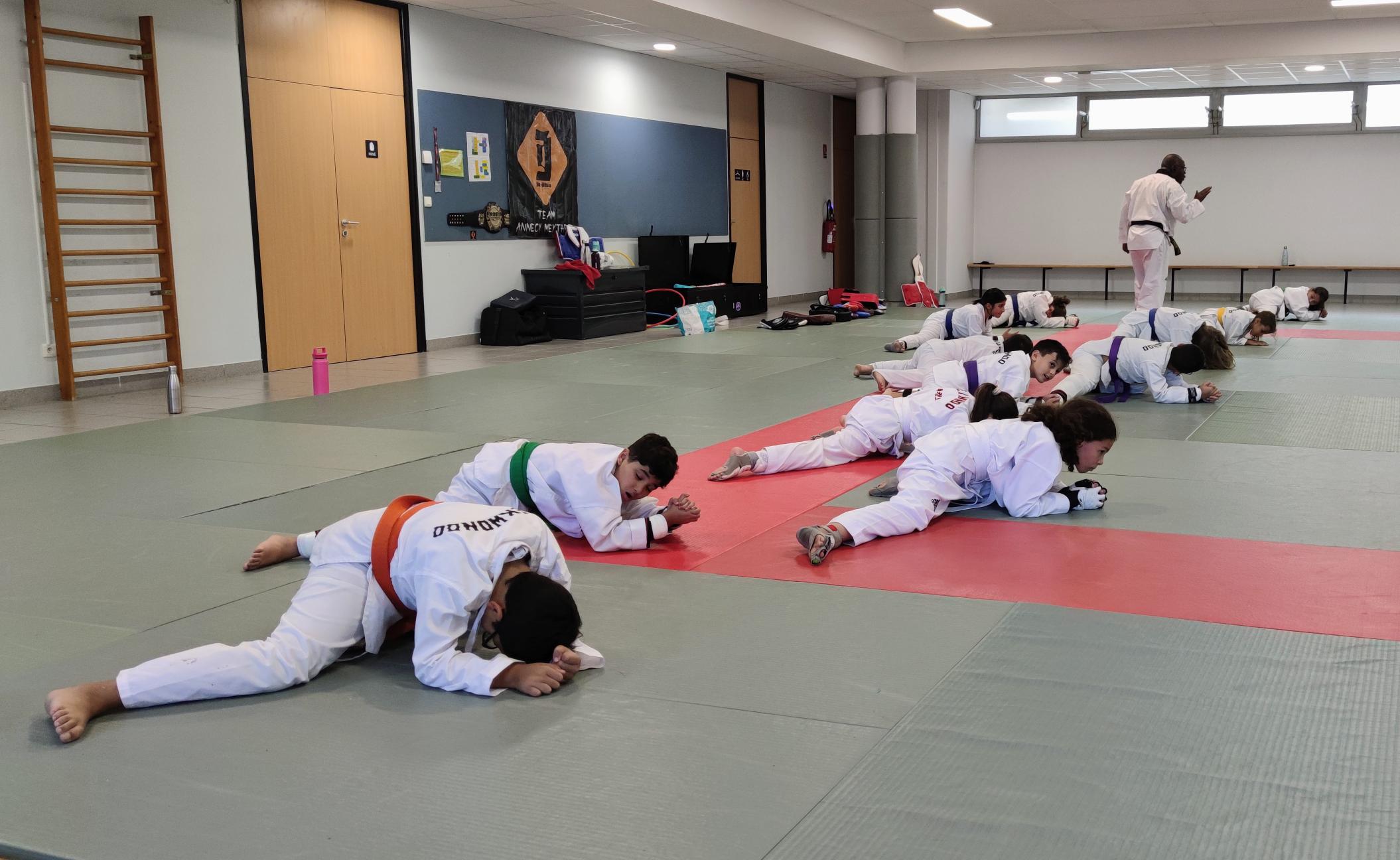 Photo Elite Taekwondo Annecy